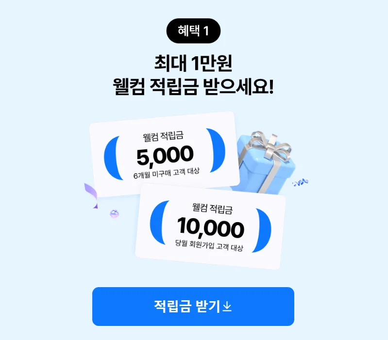 이미지 5
