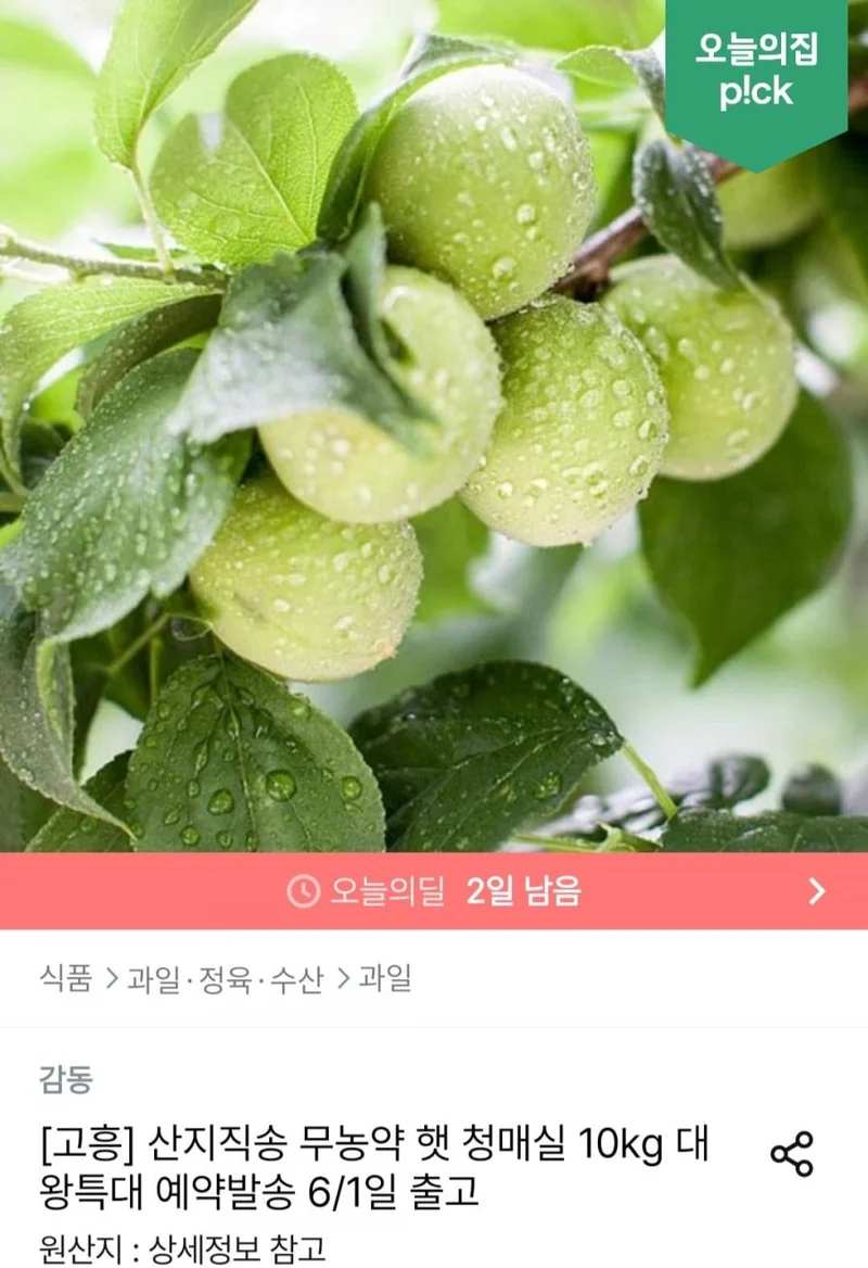 이미지 1