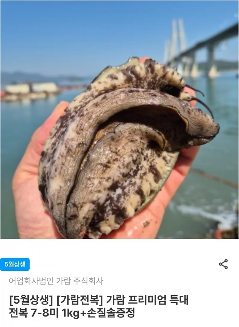 이미지 1